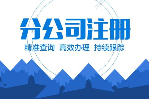 在拉薩設(shè)立分公司的流程、所需材料、辦理時間