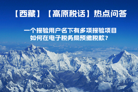 一個報驗用戶名下有多項報驗項目，如何在電子稅務局預繳稅款？