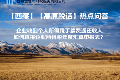 企業(yè)收到個(gè)人所得稅手續(xù)費(fèi)返還收入，如何填報(bào)企業(yè)所得稅年度匯算申報(bào)表？